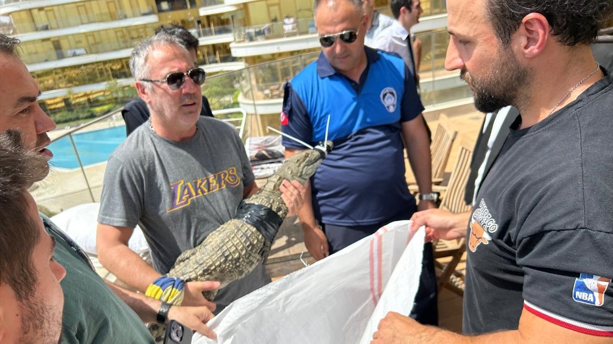 İstanbul'da evinde 1,5 metre uzunluğunda timsah besleyen adam yakalandı