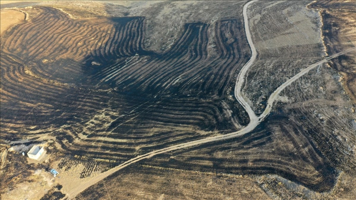 Mardin ve Diyarbakır'daki yangın faciasının hasar tespit çalışmaları tamamlandı