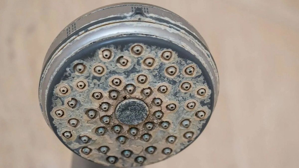 Tıkanmış duş başlığı o iki malzeme ile temizleyin, saniyeler içinde nasıl açılıyor görün…