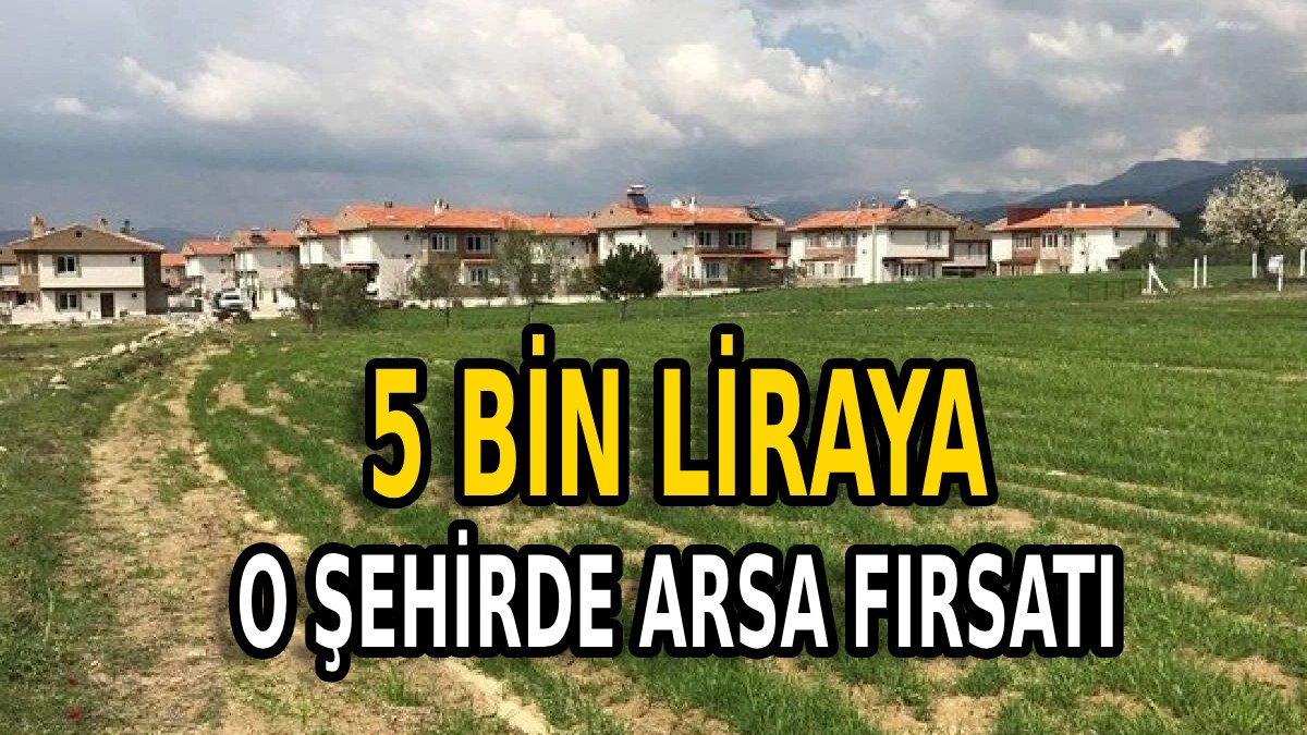 5 bin lirası olana arsa tapusu verilecek! Duyan o şehre bilet kesiyor