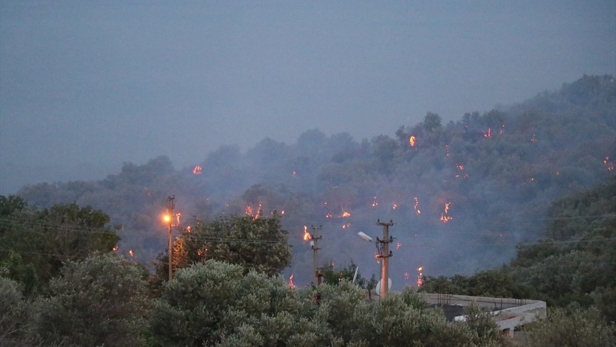 İzmir Bornova'daki orman yangınına ilişkin yakalanan şüpheli tutuklandı