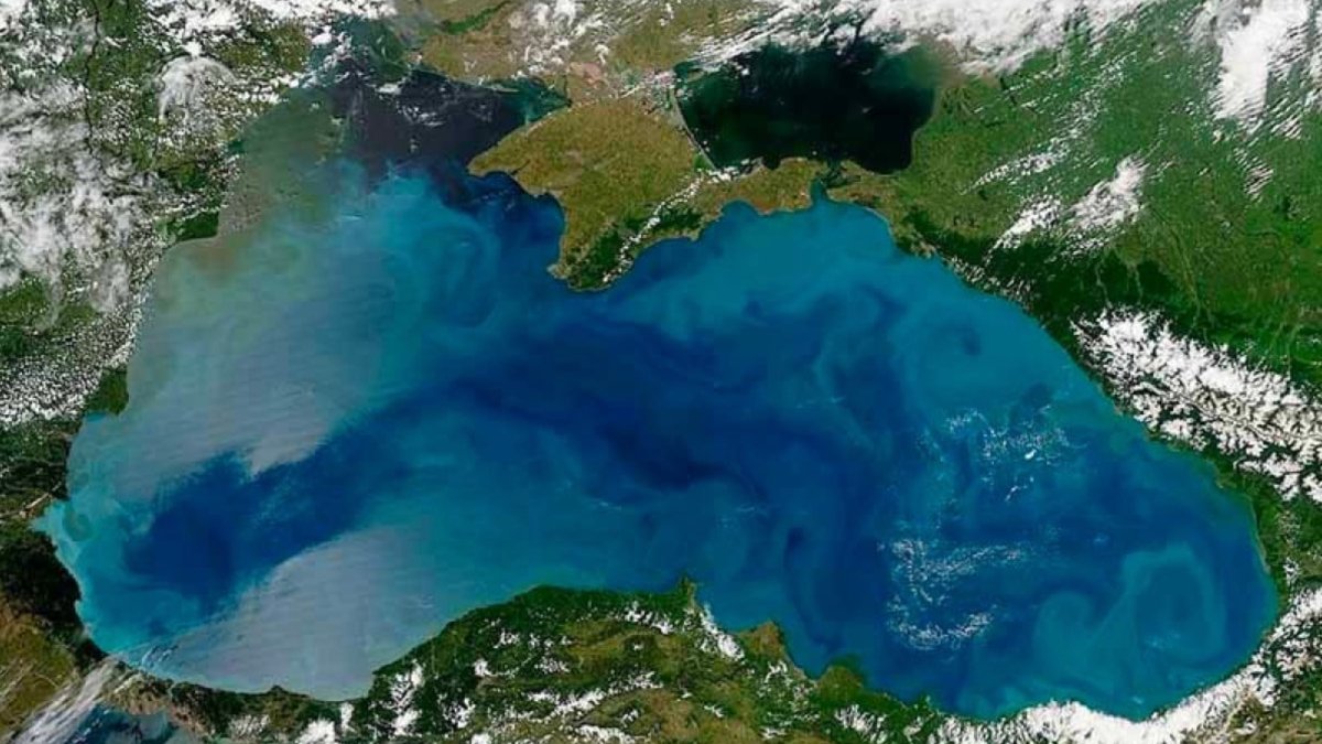 İklim değişikliğinin Karadeniz'e etkisi: Isındıkça ölüyor!