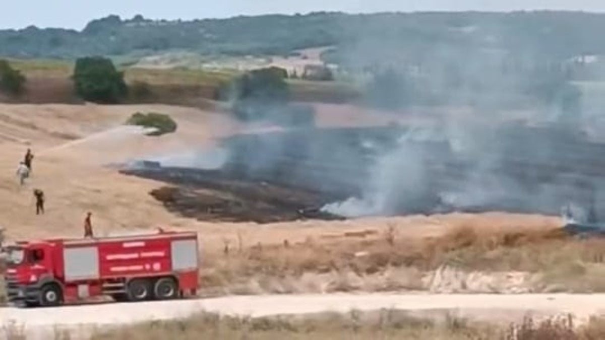 Bursa'da yangın! 20 dönüm ekili buğday tarlası yandı
