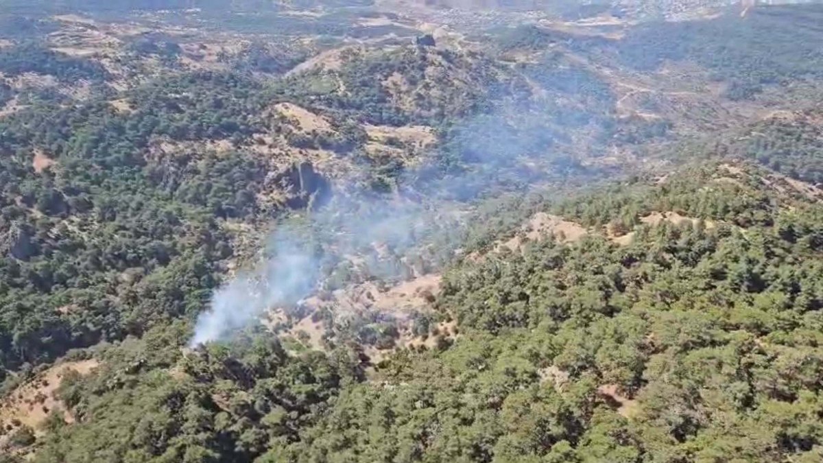 İzmir'de orman yangını kontrol altına alındı