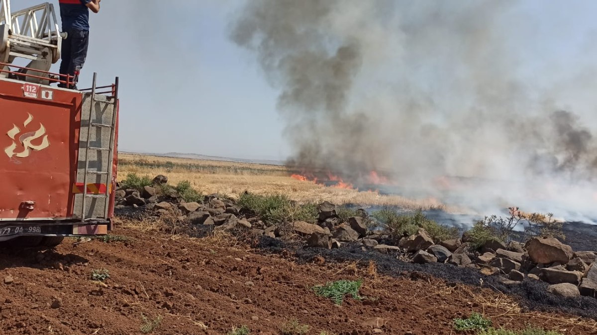 Şırnak'ta anız yangını: 100 dönüm alan zarar gördü