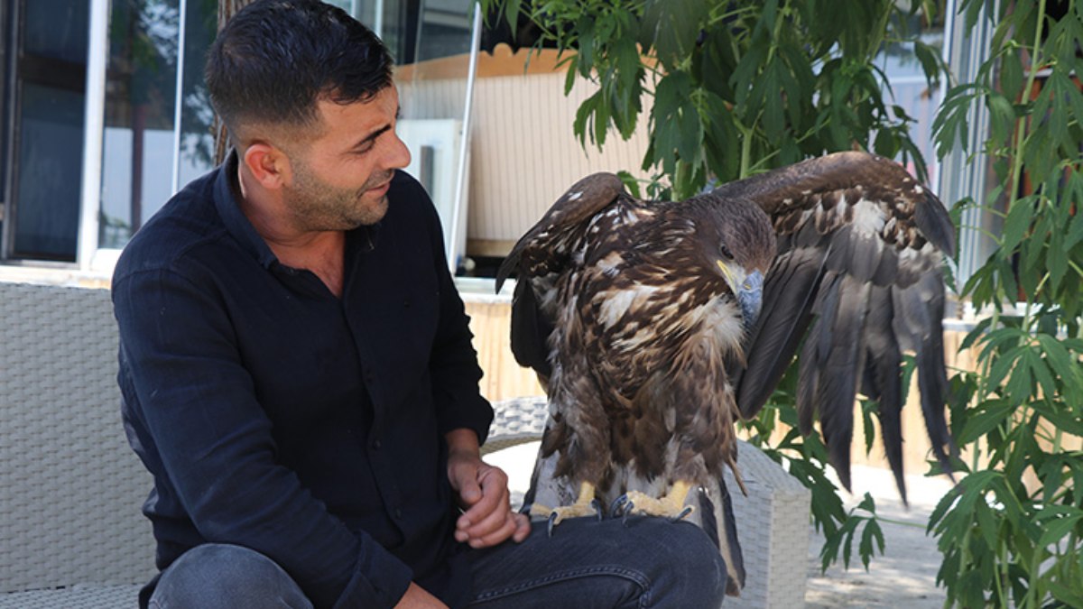 Elazığ'da bitkin halde bulduğu kartal yavrusuna çocuğu gibi bakıyor