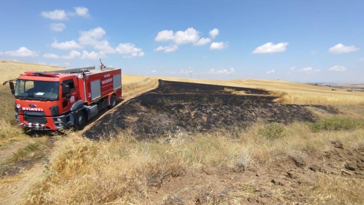 Çorum’da 15 hektar ekili arazi yandı