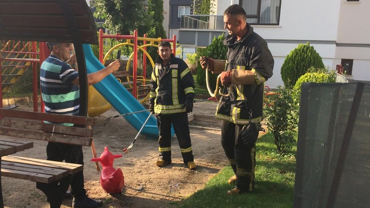 Çocuk parkına yılan girdi