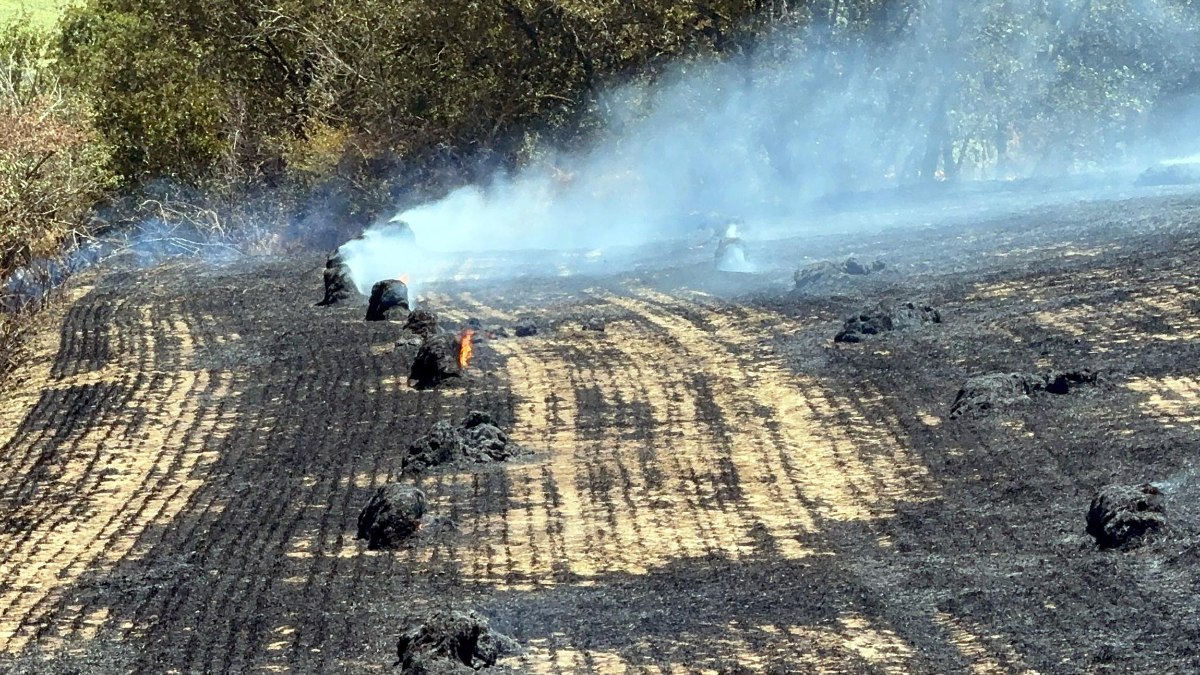 Tekirdağ'da anız yangını: 200 dönüm tarım alanı zarar gördü