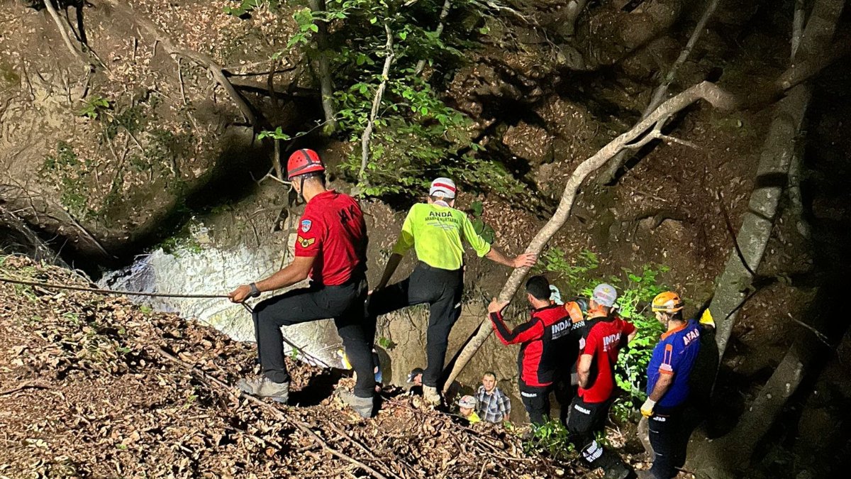 Bursa'da odun toplamaya orman giden yaşlı adamın cesedi bulundu