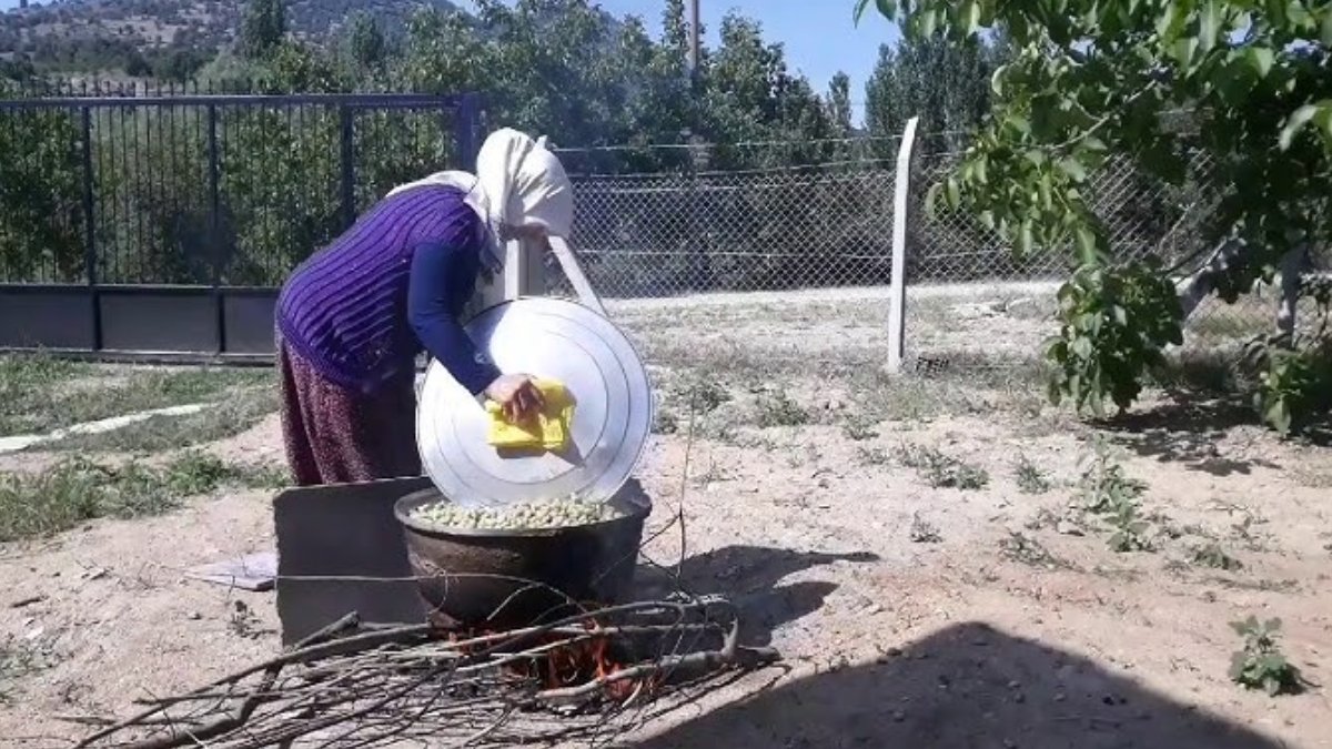 Hasat sonrası mutlaka kurutun: Hem cebe hem sağlığa yarıyor! Fiyatı 2 katına çıkıyor