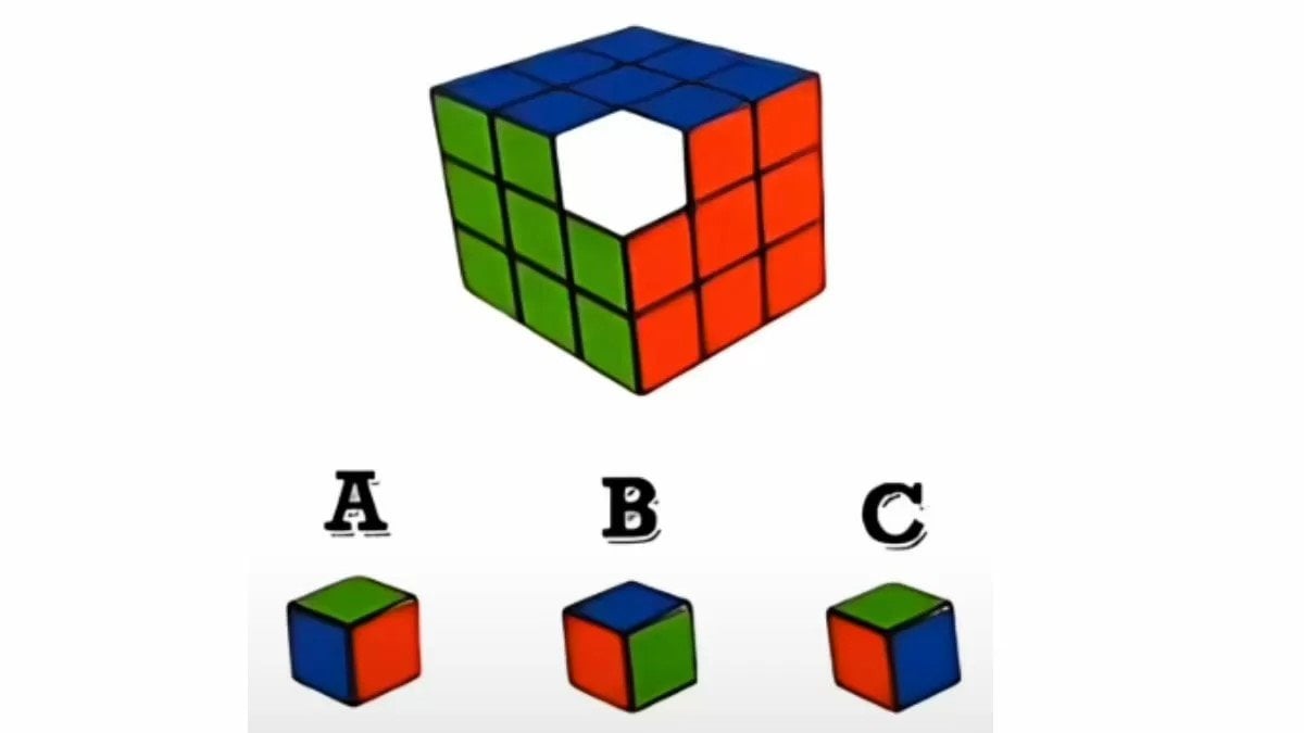 IQ Testi: Dahi olan rubik küpünün eksik parçasını şıp diye buluyor...