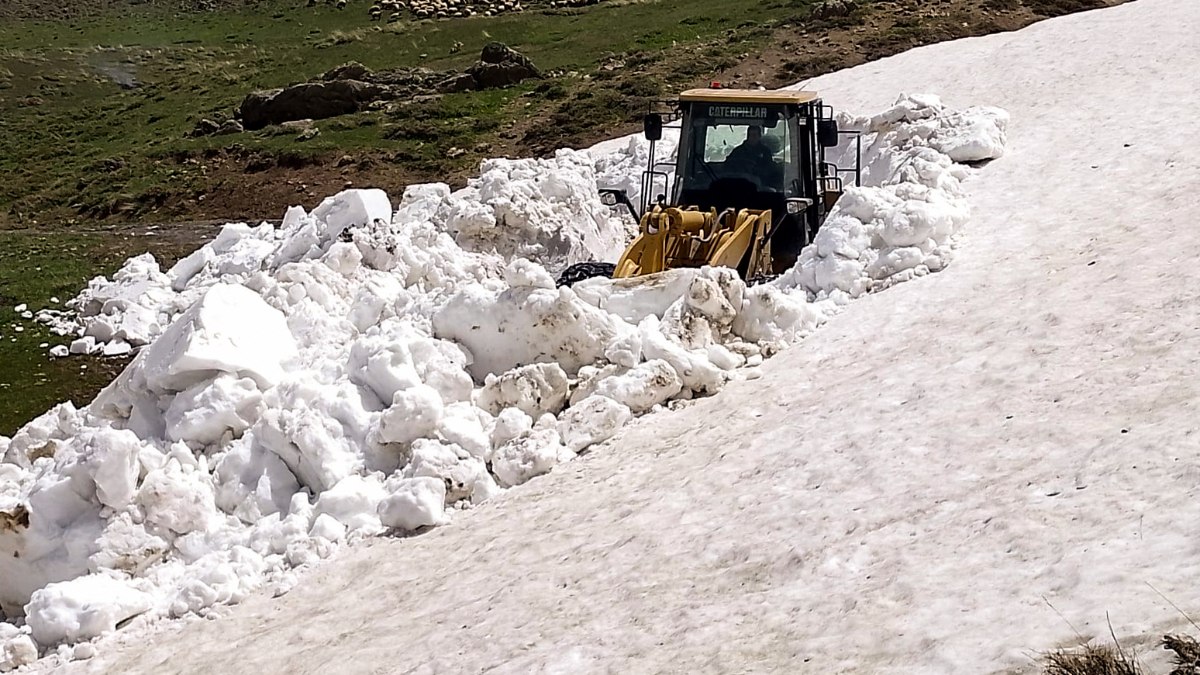 Van'da kardan dolayı kapalı olan yollar açıldı