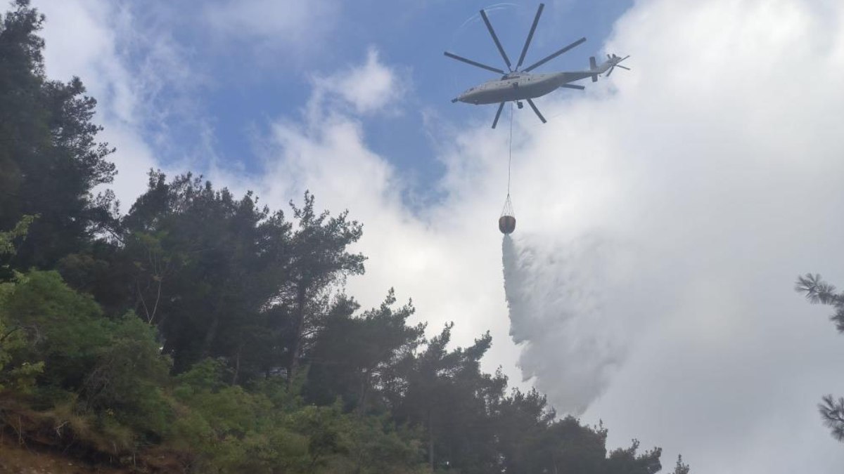 Hatay'da orman yangını çıktı