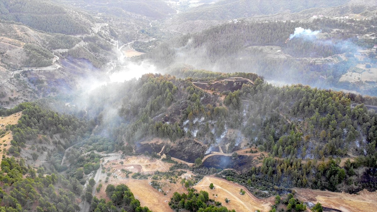 Kahramanmaraş'taki orman yangınının sebebi torpil patlatılması çıktı