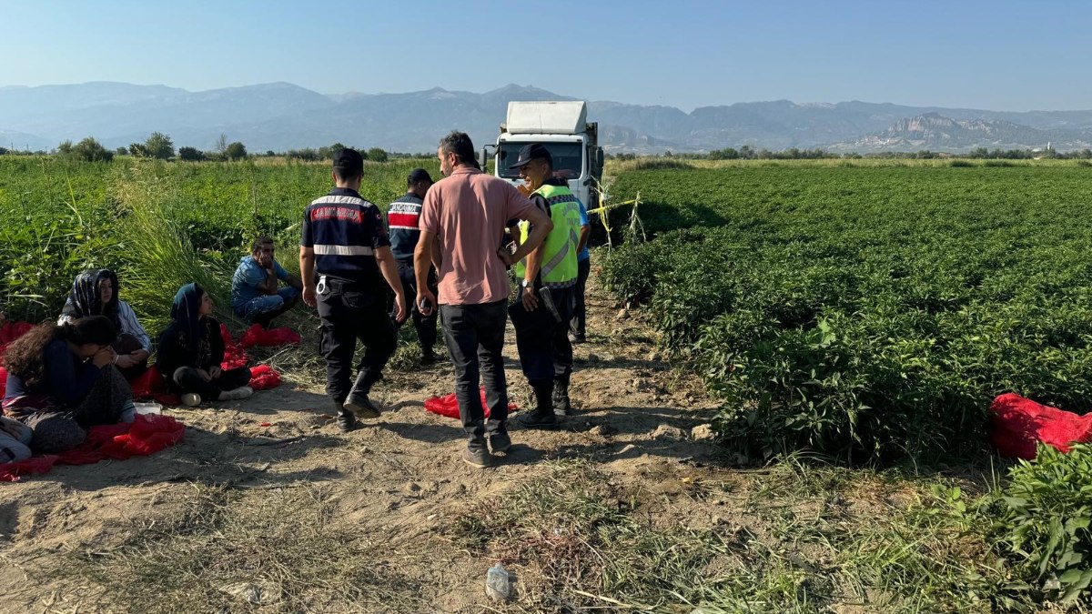 Manisa'da tarlada uyuyan çocuğu ezen kamyonun sürücüsü vuruldu