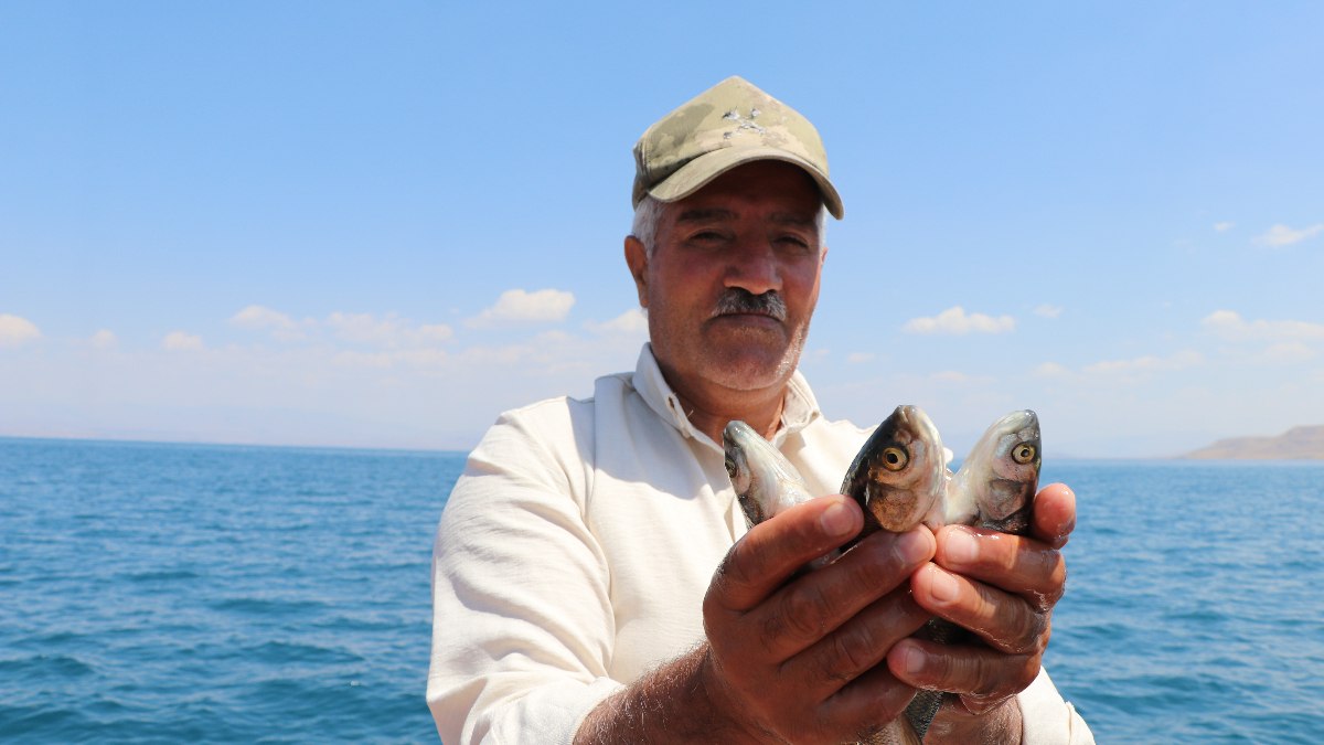 Van Gölü'ndeki inci kefali 15 bin kişinin geçim kaynağı oldu