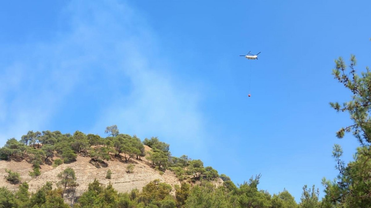 Manisa'da orman yangını çıktı