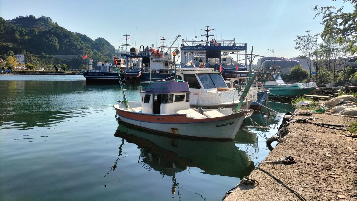 Ordulu balıkçılar, yeni sezonda palamuttan umutlu