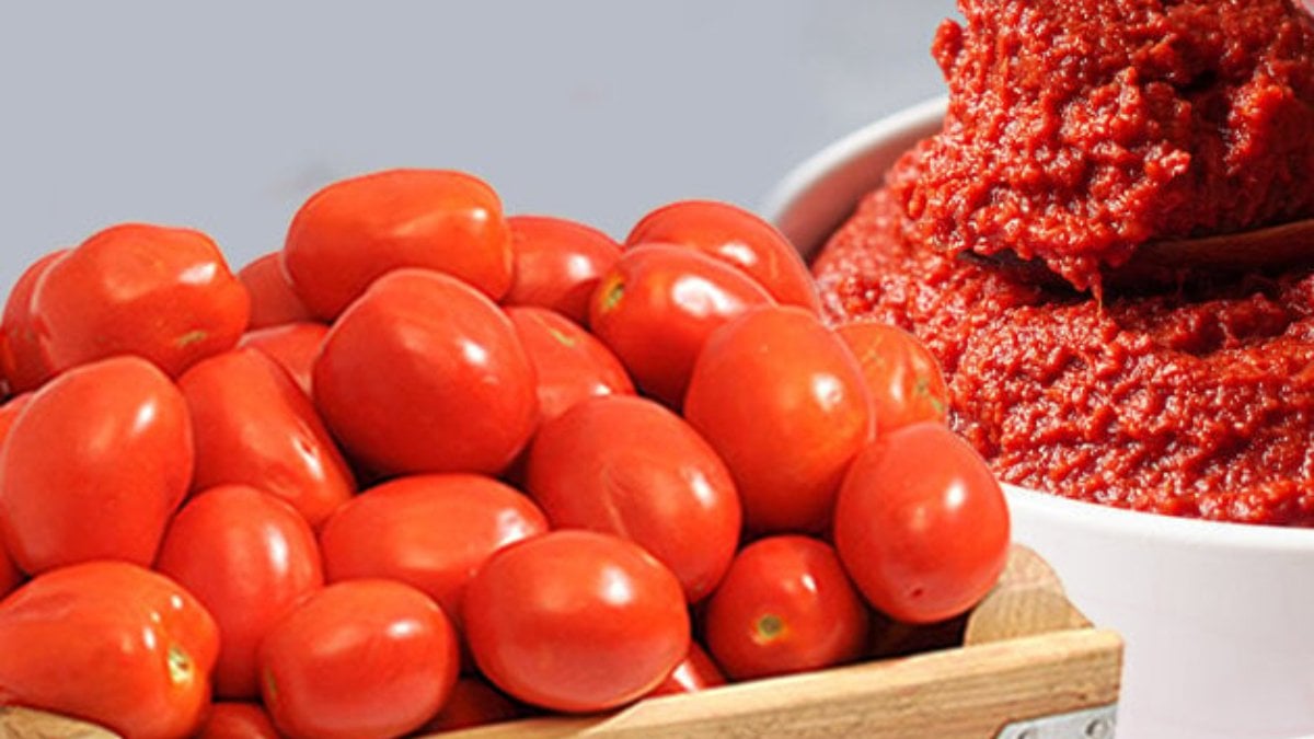 Kasa kasa domates geldi: O markette kilosu 9 TL! Menemen ve salçalık...