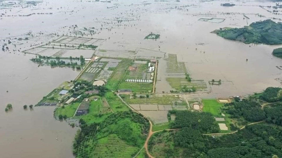 Tayland’da sel ve toprak kayması: 22 ölü, 19 yaralı