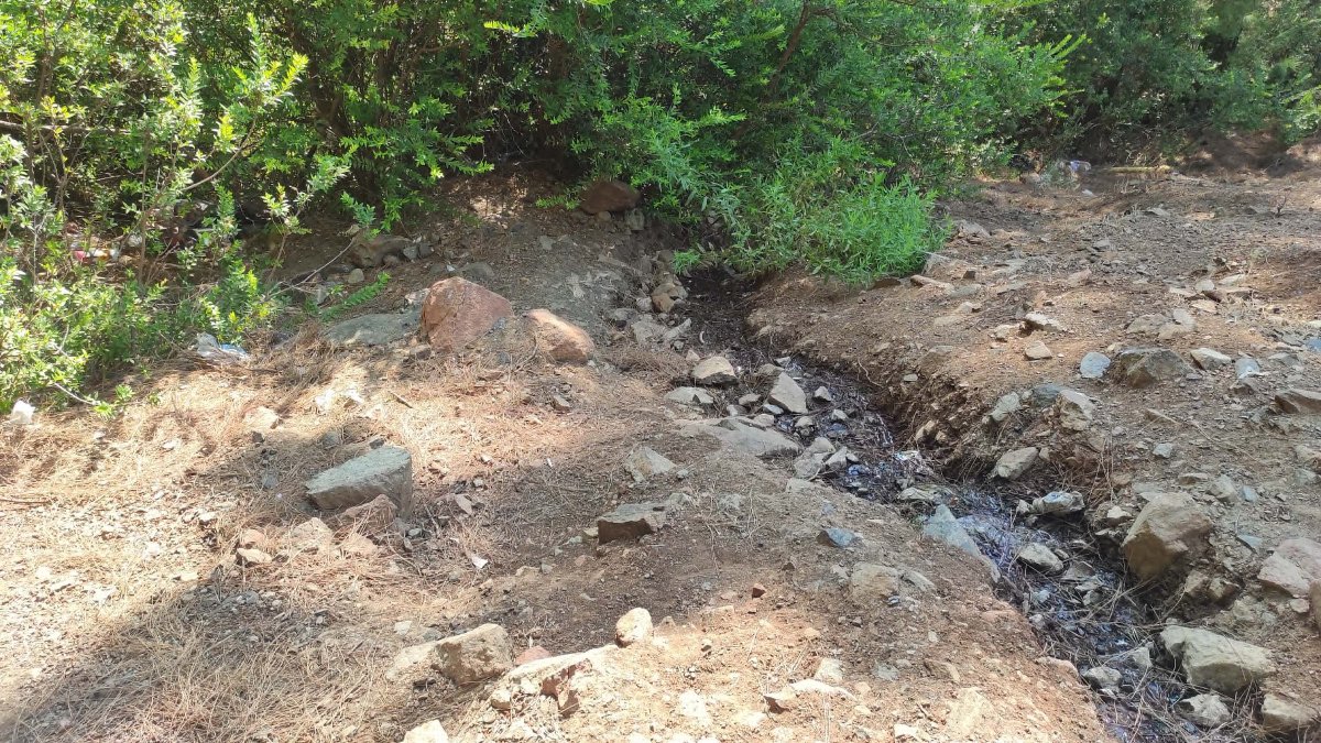 Muğla'da ormana terk edilmiş bebek bulundu