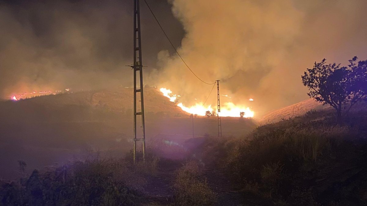 Muş'ta 3 ayrı alanda çıkan orman yangınları söndürüldü