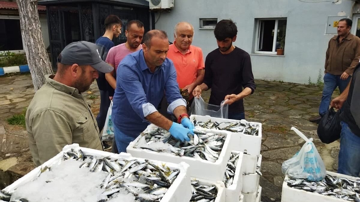 Sinop'ta kaçak avlanan balıklar vatandaşa dağıtıldı