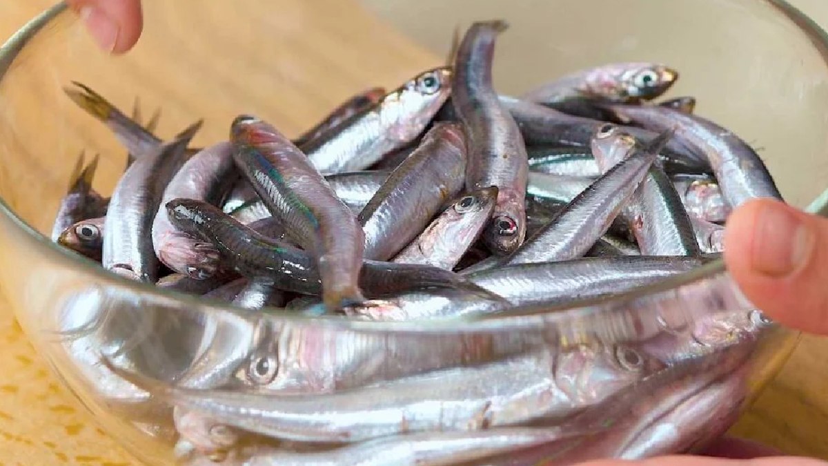 Faydası kılçığında! Hamsiyi kılçığıyla tüketin, o hastalığa son verin