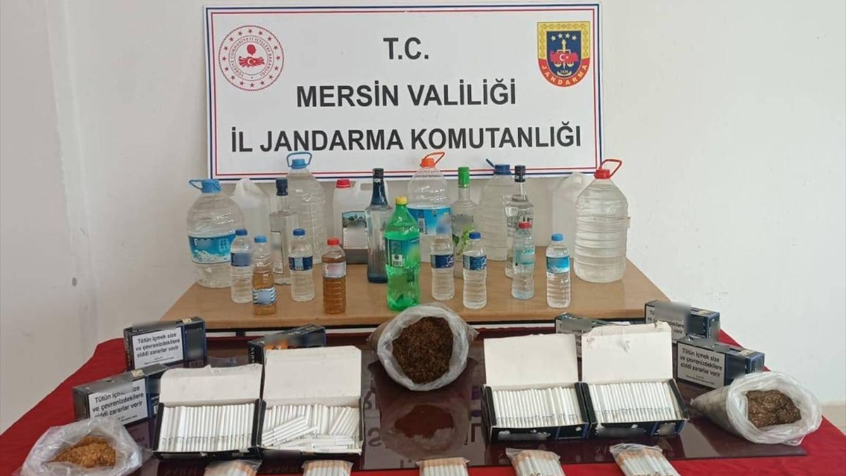 Mersin'de kaçakçılık operasyonunda 2 yakalama