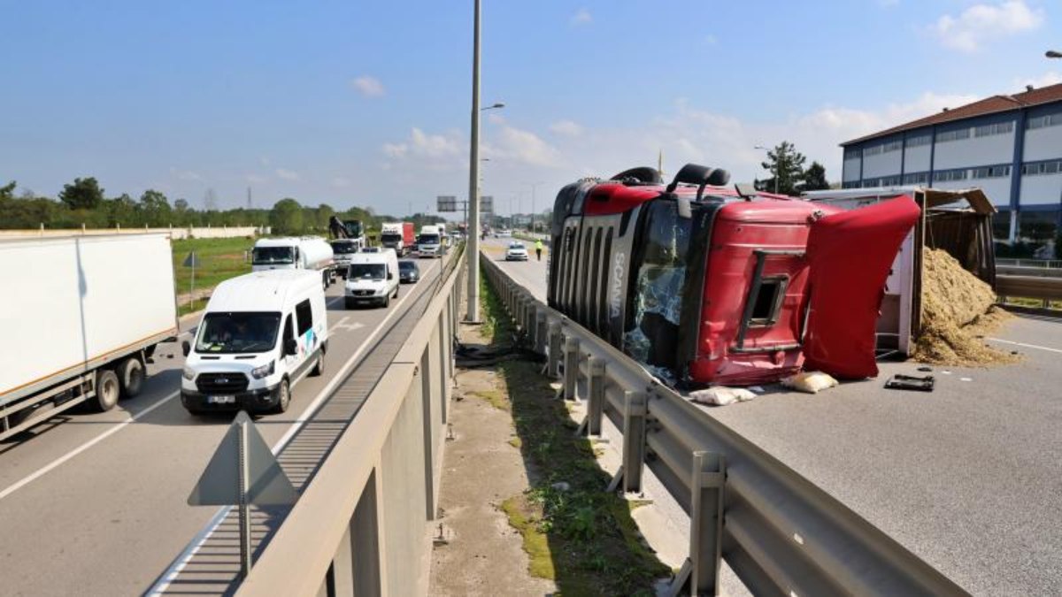 Samsun'da arı sokunca kaza yaptı