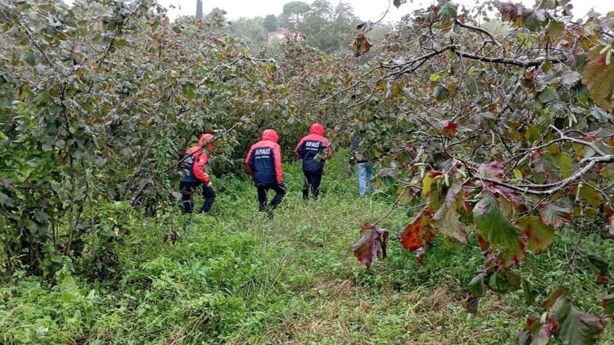 Ordu'da hurma toplamaya giden yaşlı adamın cansız bedeni bulundu