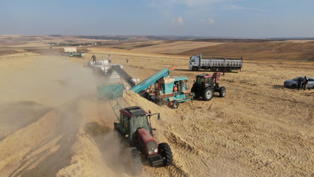 Diyarbakır'da 12 saat çalışıp günlük 3 bin liraya saman presliyorlar