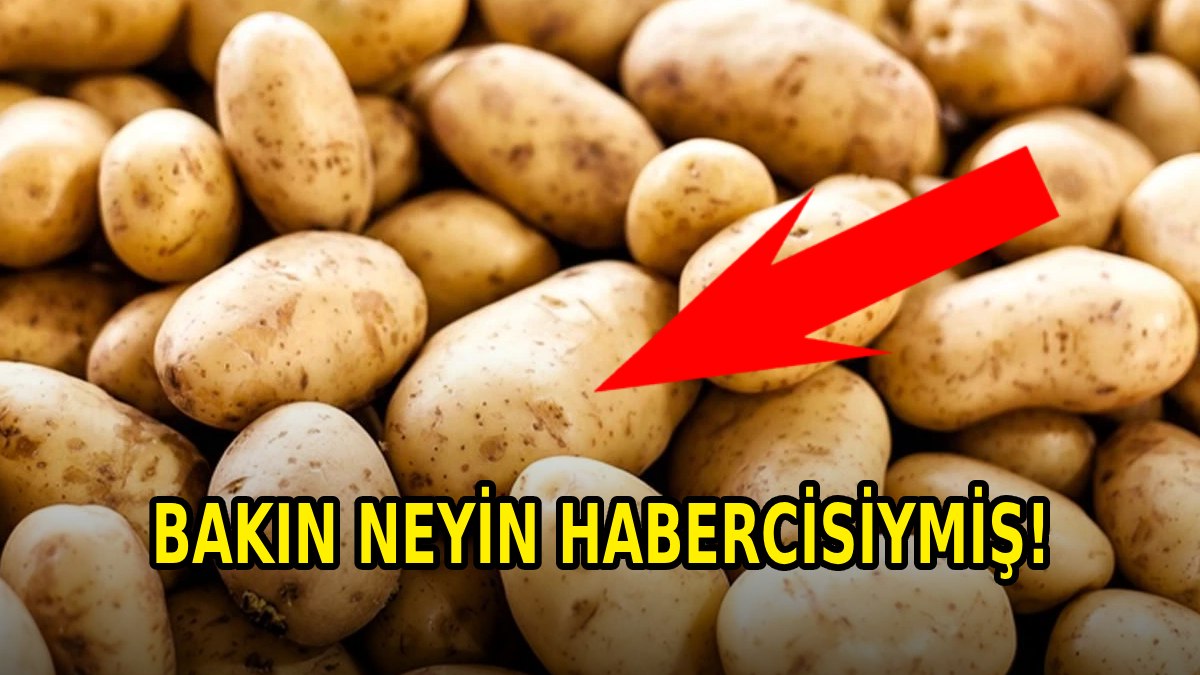 Patateslerin üzerindeki bu siyah noktalar bakın ne anlama geliyormuş