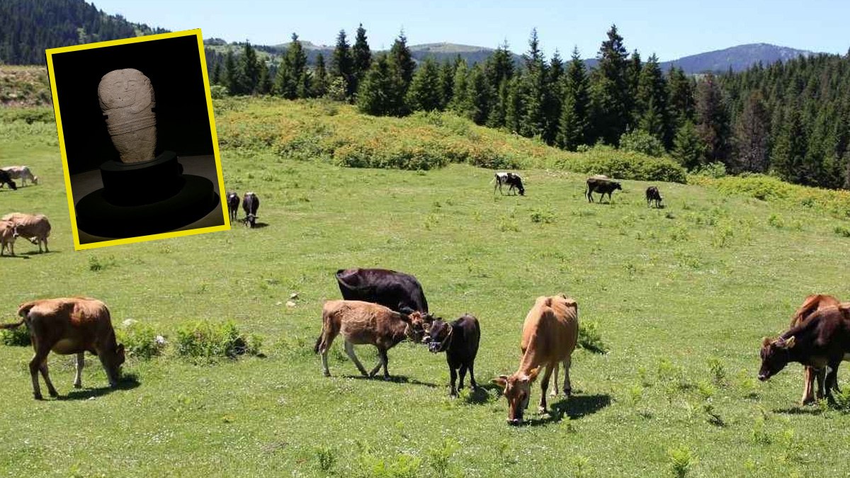 Hayvanları otlatırken buldu! Tamı tamına 2 bin 500 yıllık çıktı...