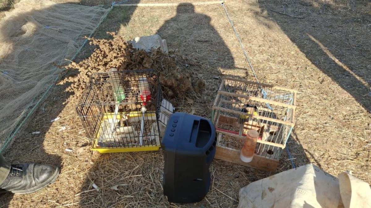 Muğla'da kaçak avcılık yapan kişiye ceza