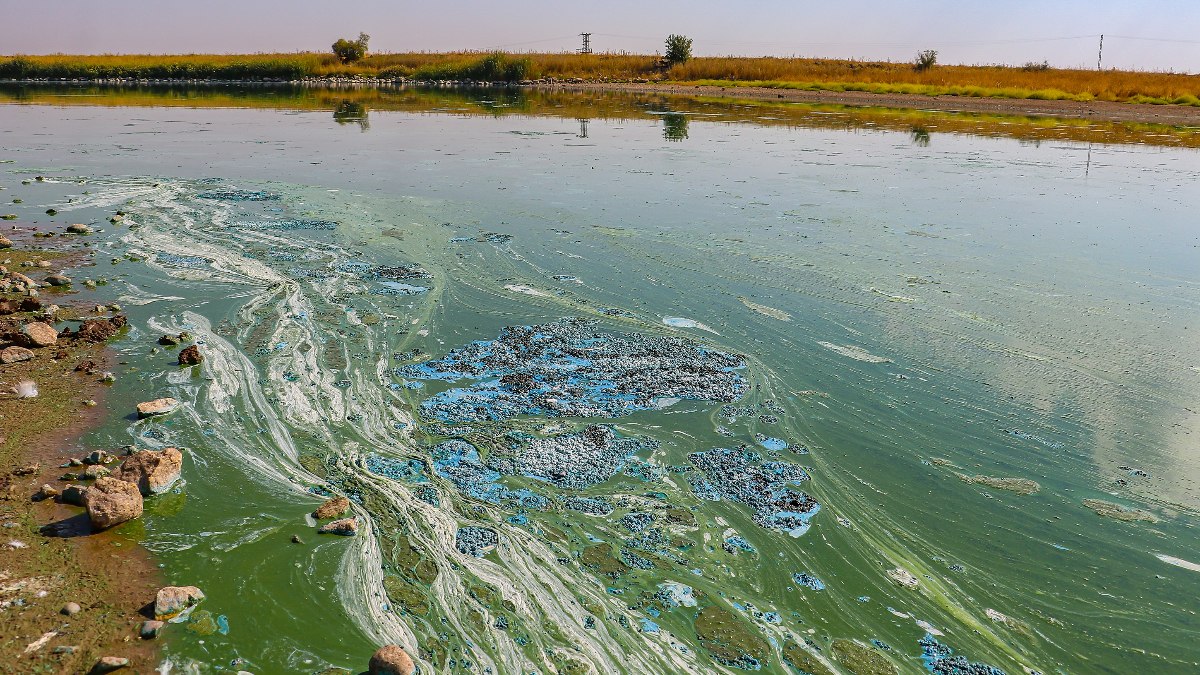 Diyarbakır'ın 'kuş cenneti' Kabaklı Göleti can çekişiyor