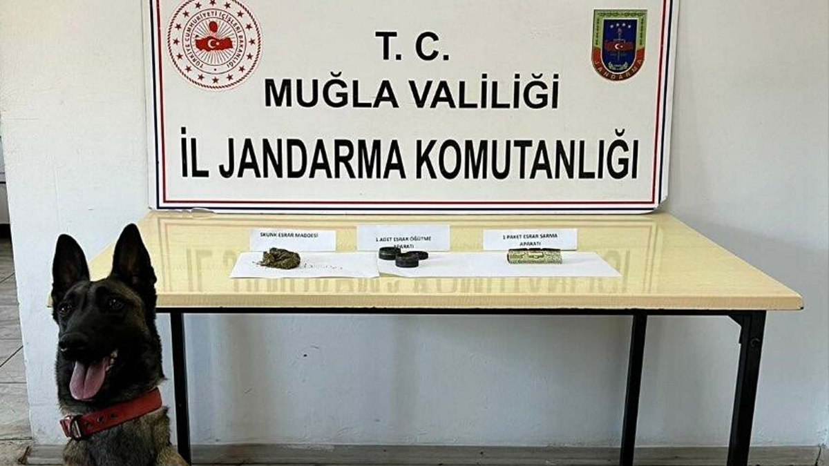 Muğla'da uyuşturucu operasyonu: 6 gözaltı