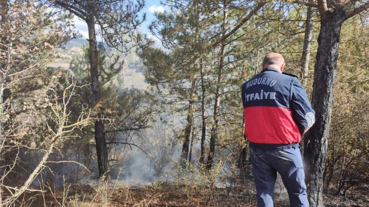 Bolu'da ot yangını ormana sıçramadan söndürüldü