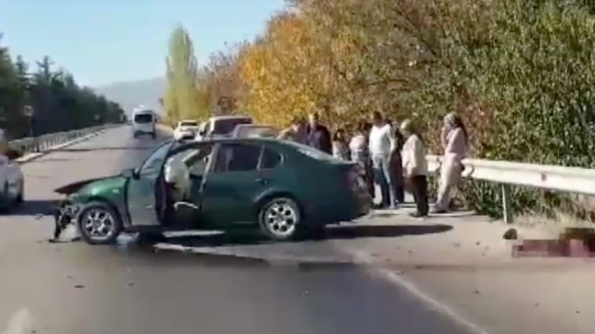 Isparta'da otomobille domuza çarptılar