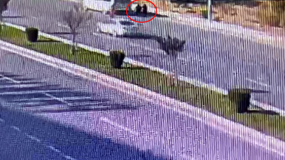 Afyonkarahisar'da indirdiği 2 yolcusuna çarpan şoför tutuklandı