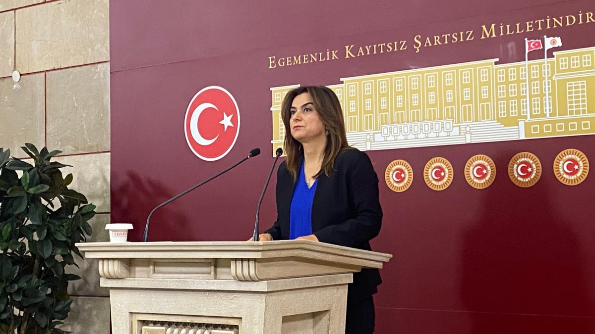 DEM Parti'den kayyum tepkisi: TBMM çalışmalarına katılmayacağız