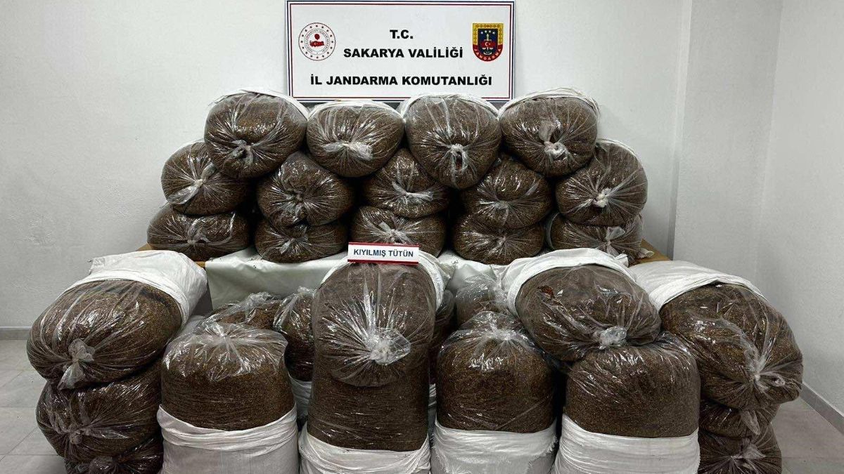 Sakarya'da kaçakçılık operasyonunda 2 şüpheli gözaltına alındı