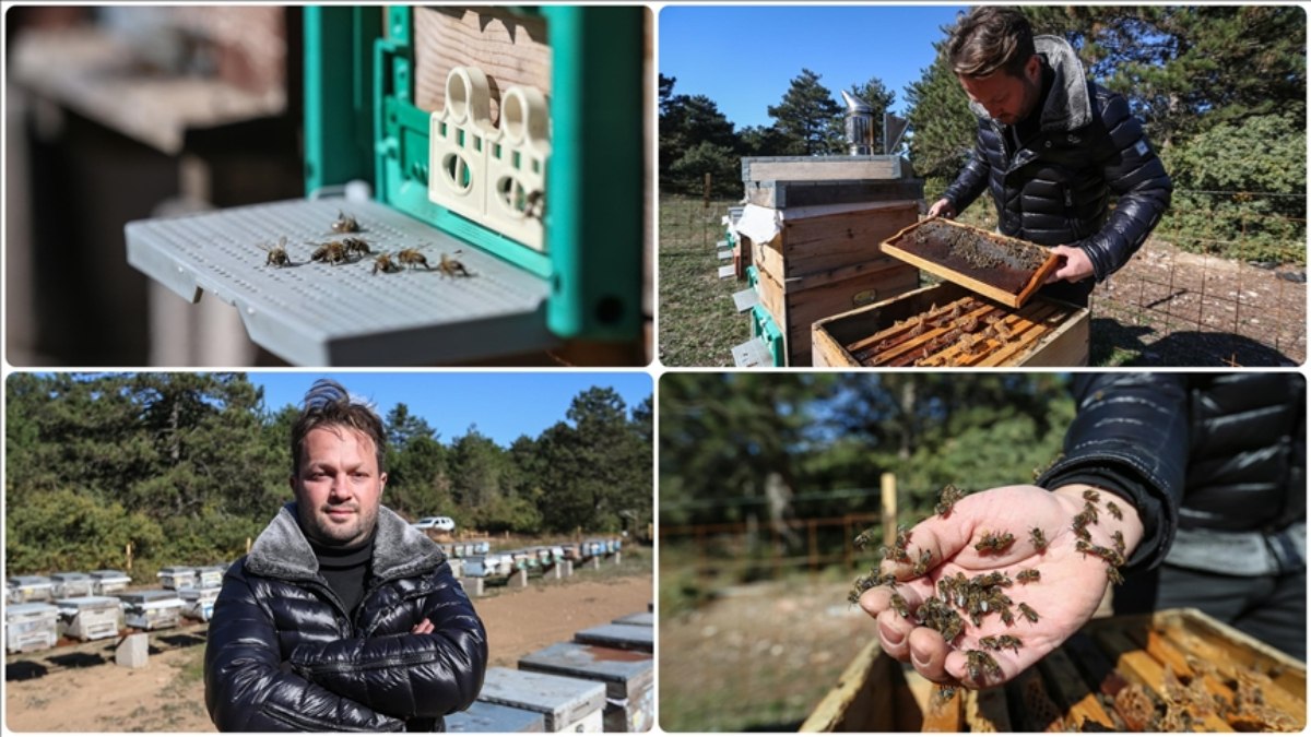 Arı alerjisini yenen üretici, Uludağ eteklerinde kestane balı üretiyor