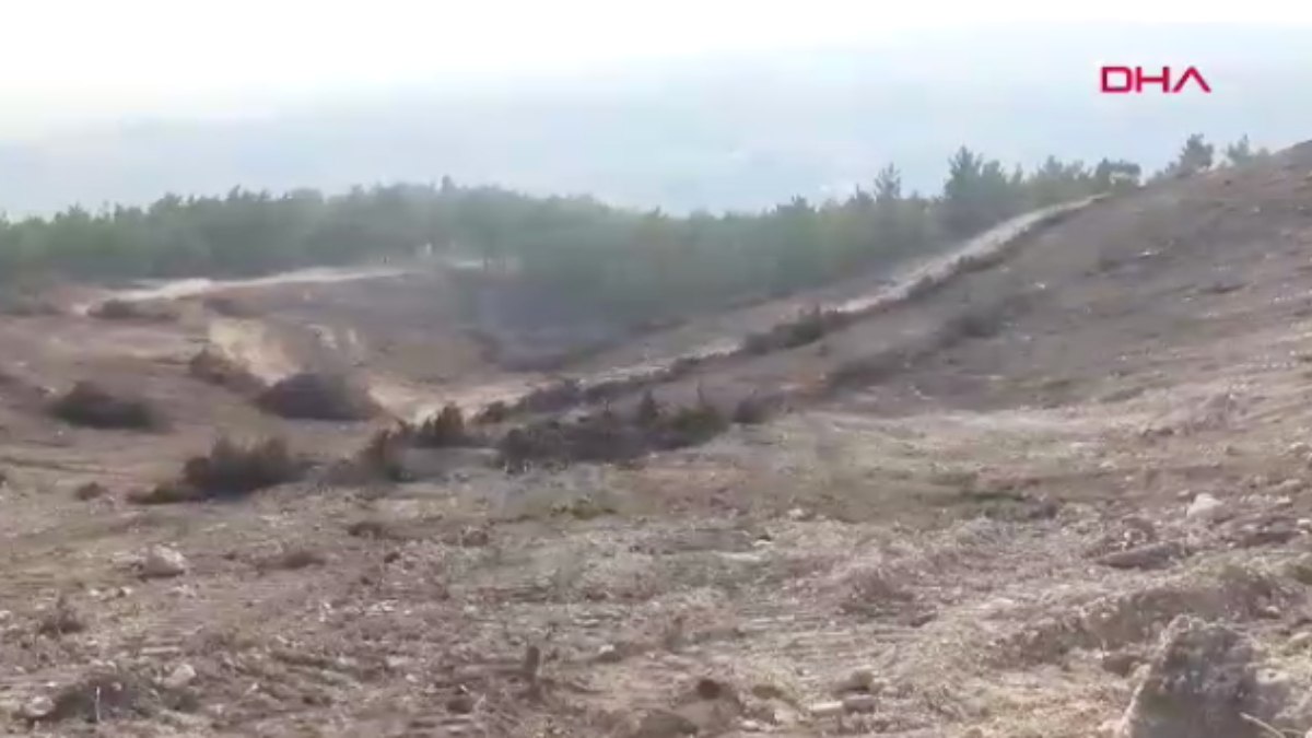 Manisa'da bu yıl çıkan 198 orman yangınının bilançosu açıklandı