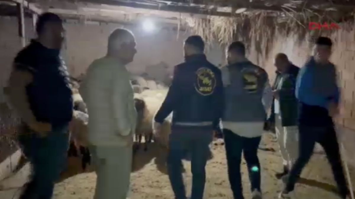Batman'da küçükbaş hayvan hırsızlığında gözaltına alınan 2 şüpheli tutuklandı