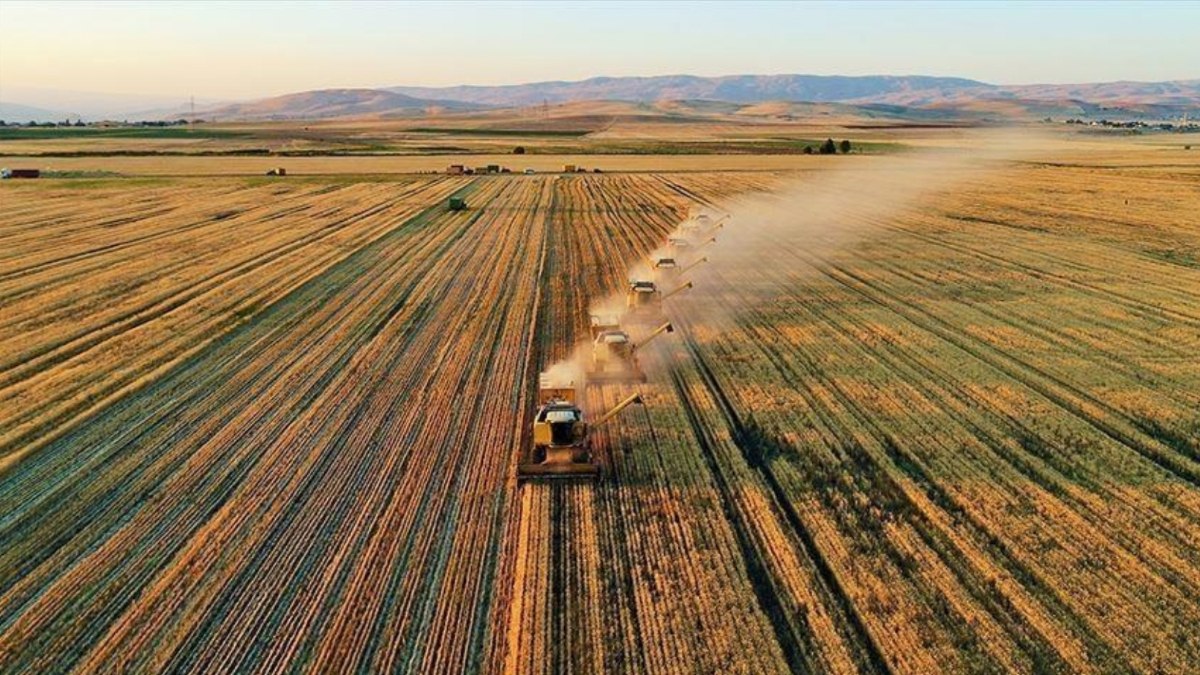 TARSİM'den çiftçilere 72,5 milyar lira hasar tazminatı ödendi