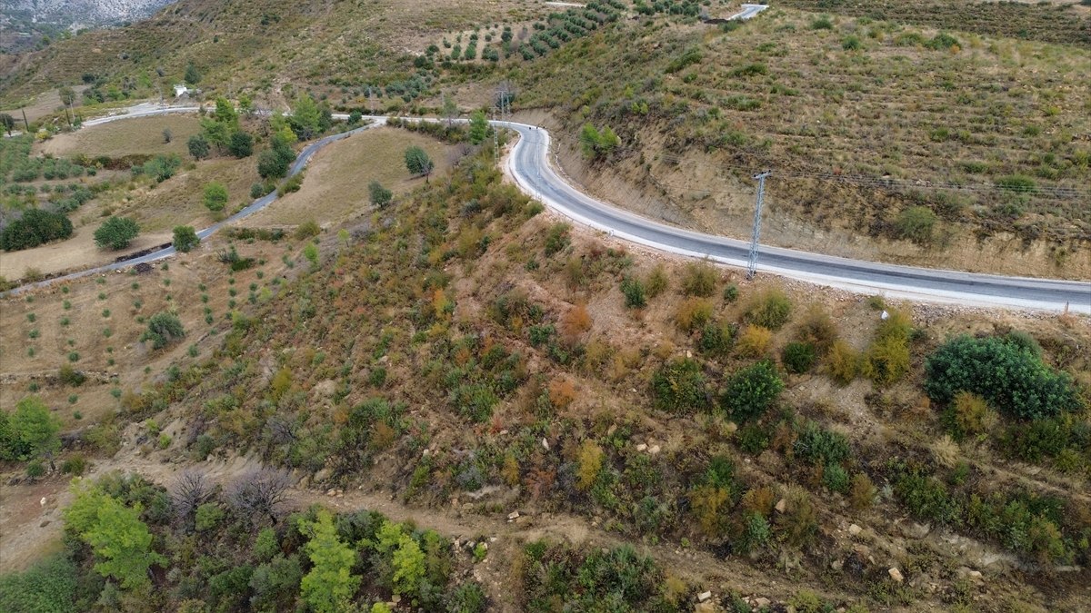 Manavgat yangınında kül olan tepeler yeniden sonbahar renklerine büründü