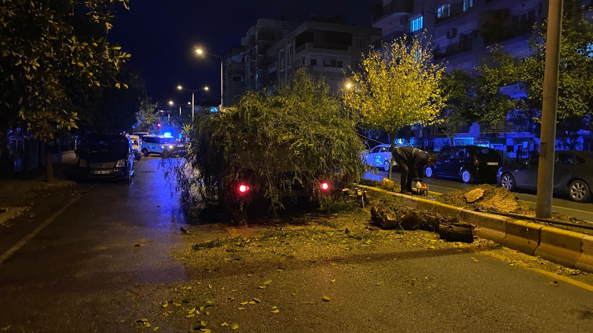 Aydın'da devrilen ağaç, yolu trafiğe kapattı