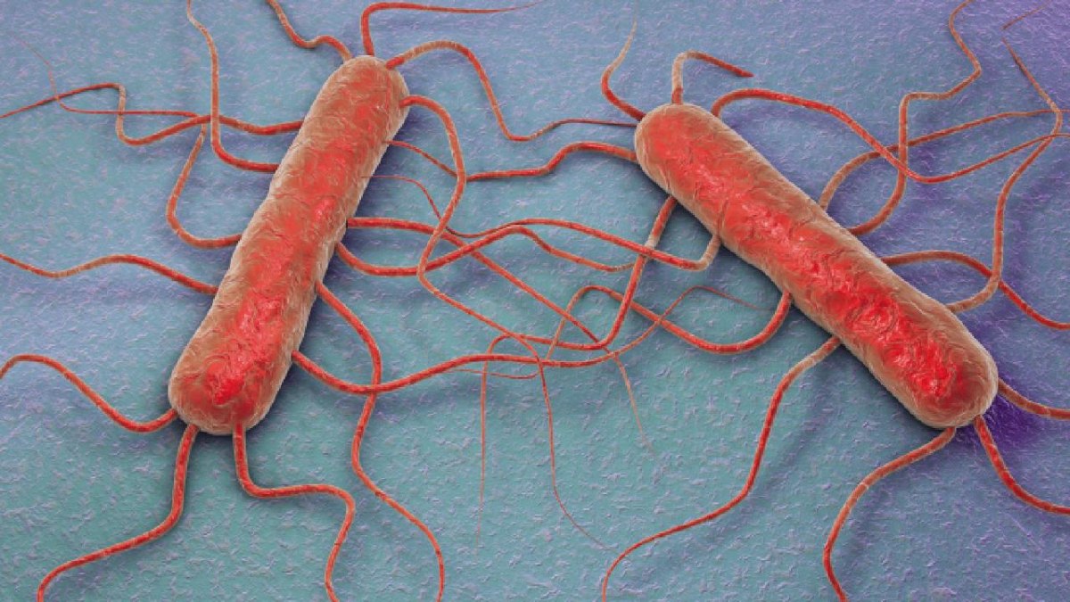 ABD’de listeria alarmı: Bir bebek öldü, 9 kişi hastaneye kaldırıldı